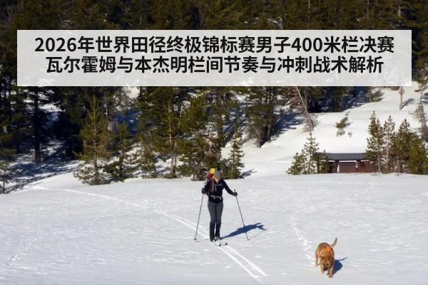 2026年世界田径终极锦标赛男子400米栏决赛瓦尔霍姆与本杰明栏间节奏与冲刺战术解析